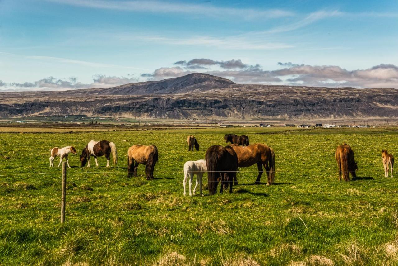 Reykjadalur Guesthouse Hveragerdi Eksteriør bilde